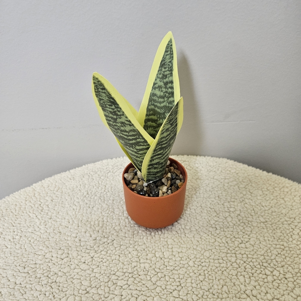 Green and Yellow Reptile Plant Decor - Picture 1 of 8
